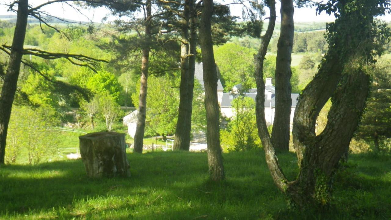 Mas De La Boheme - L'Hermet Saint-Leons Экстерьер фото